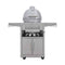 Blaze Cast Aluminum Kamado Grill Cart Only