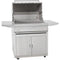 32" Blaze Freestanding Charcoal Grill