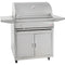 32" Blaze Freestanding Charcoal Grill